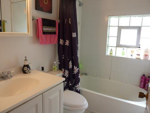 440 Spring Ave, Naperville, IL 60540 photo 27