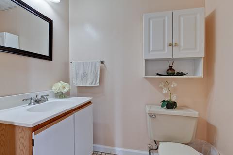 4441 Trailside Ct, Hoffman Estates, IL 60192 photo 14