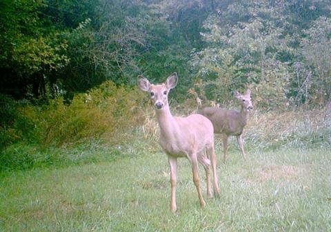 6166 Ogle Rd, Polo, IL 61064 photo 9