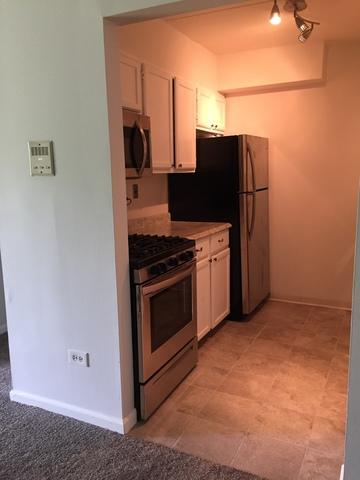 114 E Bailey Rd #H, Naperville, IL 60565 photo 6