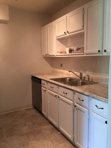 114 E Bailey Rd #H, Naperville, IL 60565 photo 5