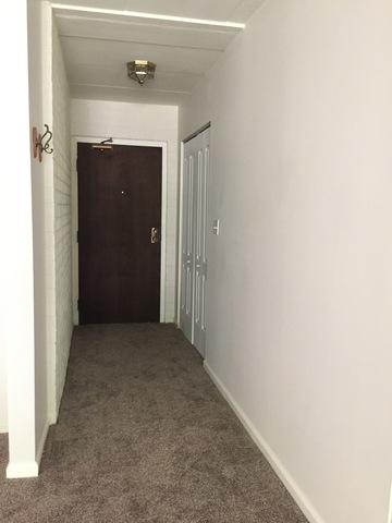114 E Bailey Rd #H, Naperville, IL 60565 photo 4