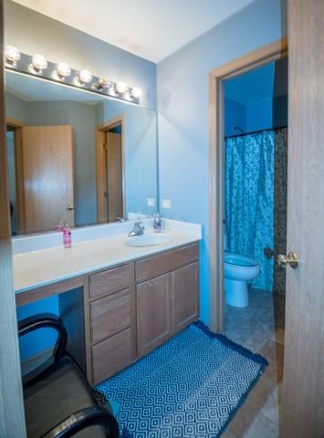 3006 Discovery Dr, Plainfield, IL 60586 photo 21