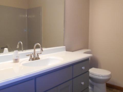 204 Oak St, Spring Valley, IL 61362 photo 6