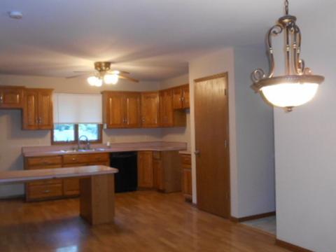 204 Oak St, Spring Valley, IL 61362 photo 3