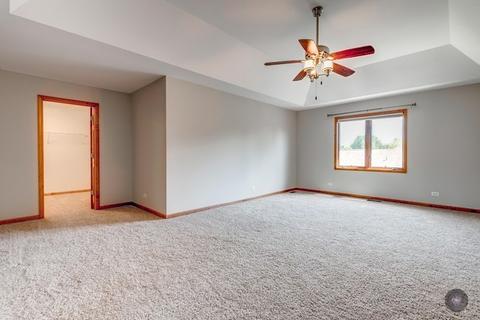 13201 Blackstone Ln, Plainfield, IL 60585 photo 35