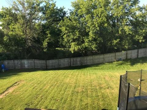 1436 Polo Dr, Bartlett, IL 60103 photo 19