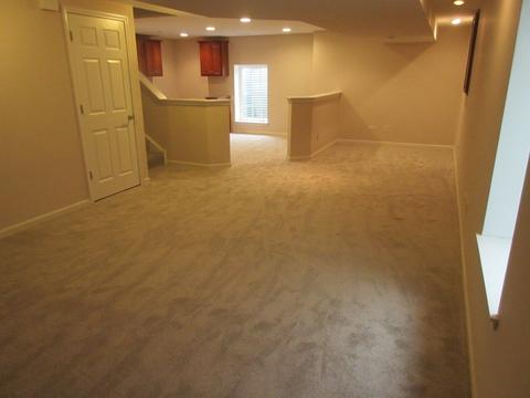 350 S Prospect Ave, Bartlett, IL 60103 photo 20
