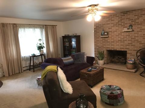 110 S Alma Ave, Kankakee, IL 60901 photo 6