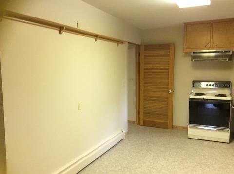 104 S Maple Ave, Reddick, IL 60961 photo 7