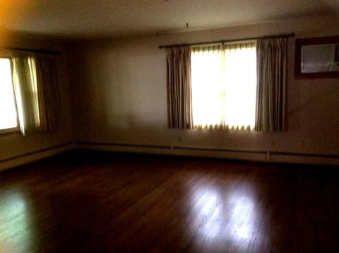 104 S Maple Ave, Reddick, IL 60961 photo 3