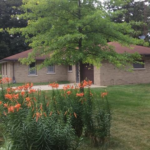 104 S Maple Ave, Reddick, IL 60961 photo 20