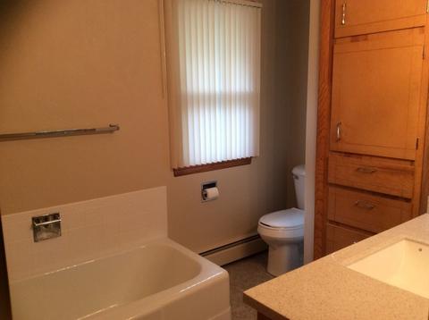 104 S Maple Ave, Reddick, IL 60961 photo 9
