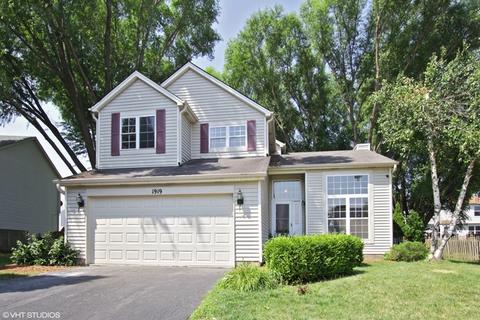 1919 Chestnut Grove Dr, Plainfield, IL 60586 photo 1