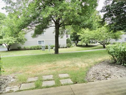 1406 Shore Ct #C1, Wheeling, IL 60090 photo 25