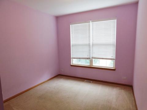 4754 Foster Ct, Plainfield, IL 60586 photo 10
