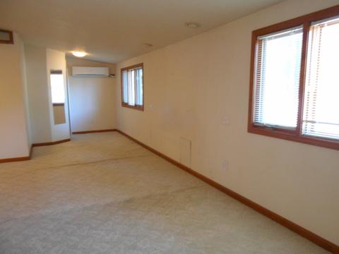 1154 S 8th Ave, Kankakee, IL 60901 photo 21