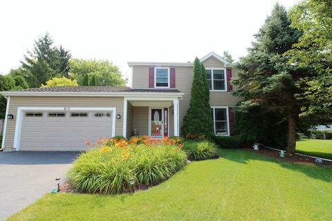 613 Sandpiper Ct, Algonquin, IL 60102 photo 2
