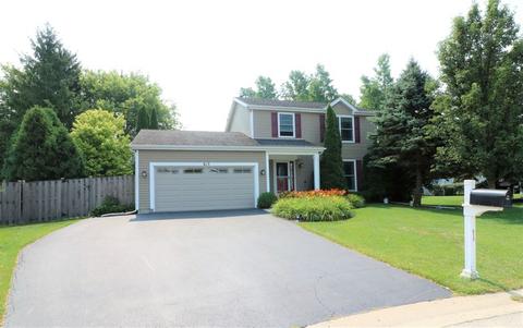613 Sandpiper Ct, Algonquin, IL 60102 photo 29