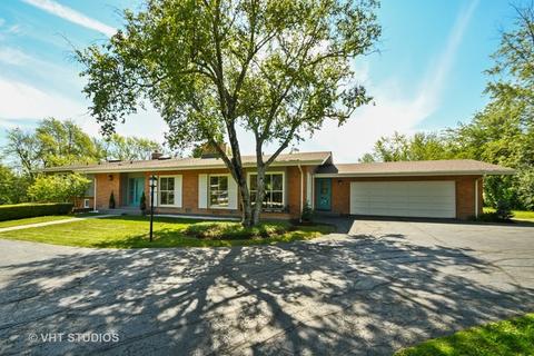 17 Graymoor Ln, Olympia Fields, IL 60461 photo 20