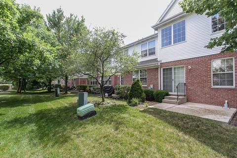 252 Bay Dr, Itasca, IL 60143 photo 19