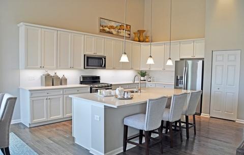 2131 Indigo Dr, Algonquin, IL 60102 photo 5