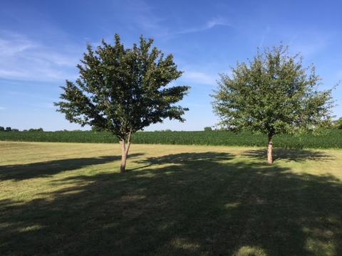 10106 Wright Rd, Harvard, IL 60033 photo 17