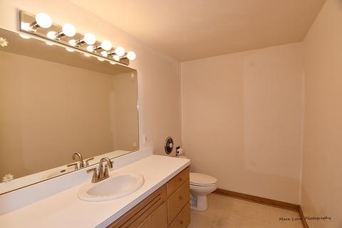 509 Maple Ln, Geneva, IL 60134 photo 27