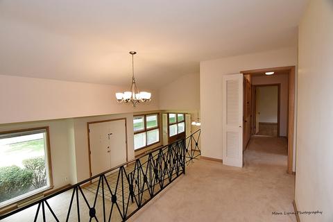 509 Maple Ln, Geneva, IL 60134 photo 22