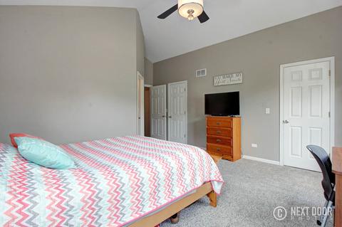 24266 Leski Ln, Plainfield, IL 60585 photo 14
