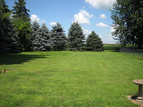 126 W Walnut St, Compton, IL 61318 photo 11