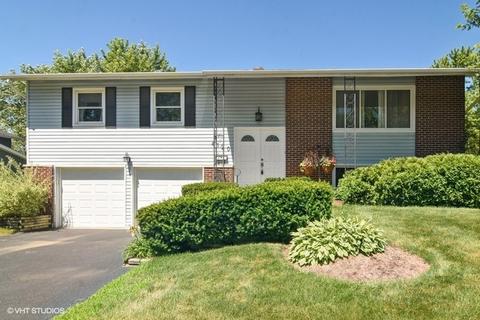 4120 Ohare Dr, Hoffman Estates, IL 60192 photo 1