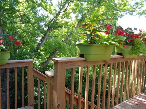 10310 Fox Bluff Ln, Spring Grove, IL 60081 photo 25