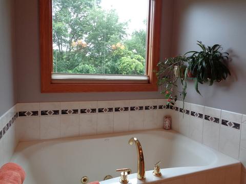 10310 Fox Bluff Ln, Spring Grove, IL 60081 photo 22