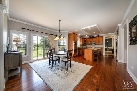 12708 Shenandoah Trl, Plainfield, IL 60585 photo 13