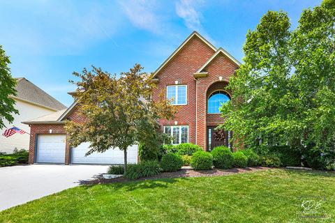 12708 Shenandoah Trl, Plainfield, IL 60585 photo 1