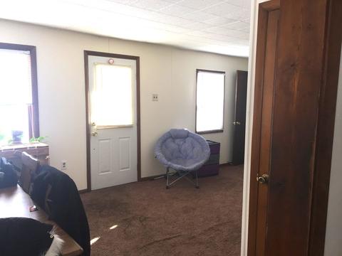 307 S White St, Sidney, IL 61877 photo 9