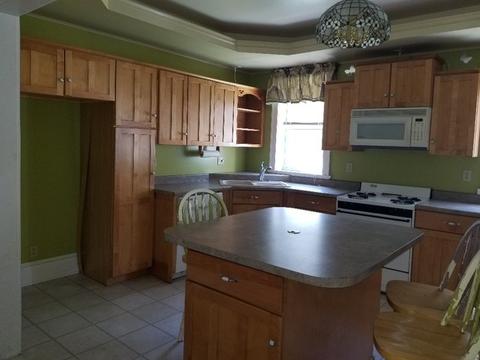 807 Chicago St, Mendota, IL 61342 photo 4