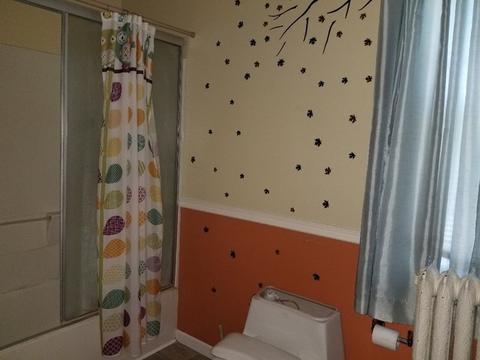 807 Chicago St, Mendota, IL 61342 photo 6