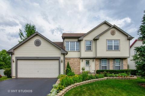 344 Buckthorn Ln, Elgin, IL 60120 photo 1