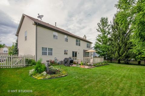 344 Buckthorn Ln, Elgin, IL 60120 photo 20