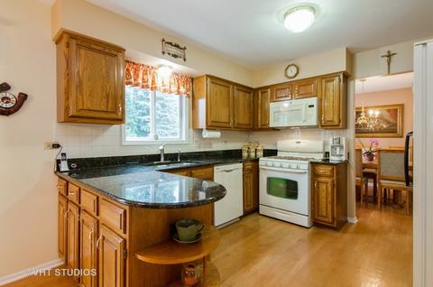 344 Buckthorn Ln, Elgin, IL 60120 photo 7