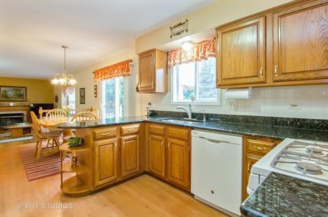 344 Buckthorn Ln, Elgin, IL 60120 photo 9