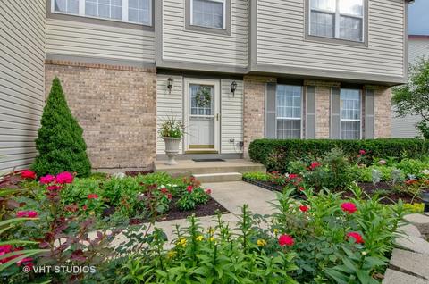 344 Buckthorn Ln, Elgin, IL 60120 photo 2
