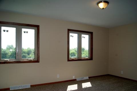 264 Circlegate Rd, New Lenox, IL 60451 photo 14
