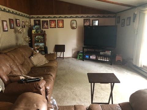 705 Hill St, Mazon, IL 60444 photo 5