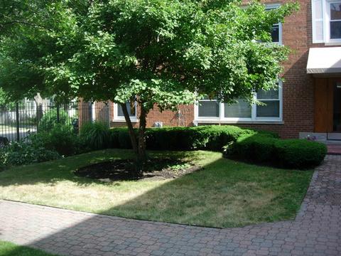 425 Custer Ave #2, Evanston, IL 60202 photo 2