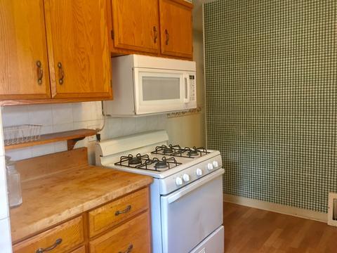 105 Wilcox Ave, Elgin, IL 60123 photo 4