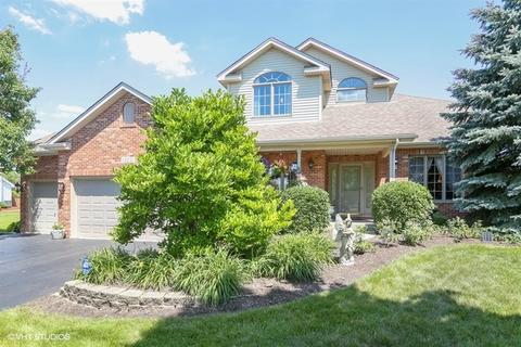 13251 Brooklands Ln, Plainfield, IL 60585 photo 1