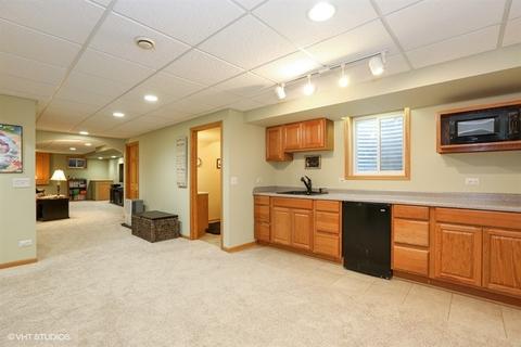13251 Brooklands Ln, Plainfield, IL 60585 photo 23